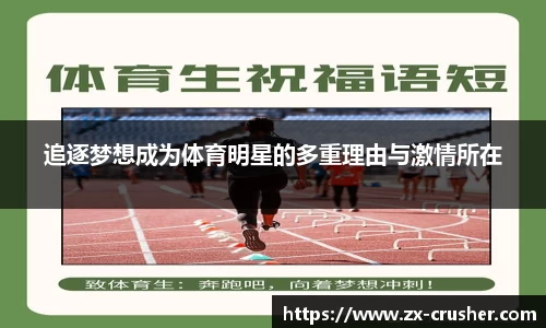 追逐梦想成为体育明星的多重理由与激情所在