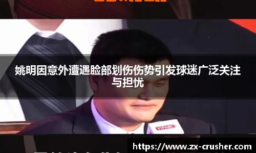 emc易倍体育官方