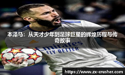 emc易倍体育